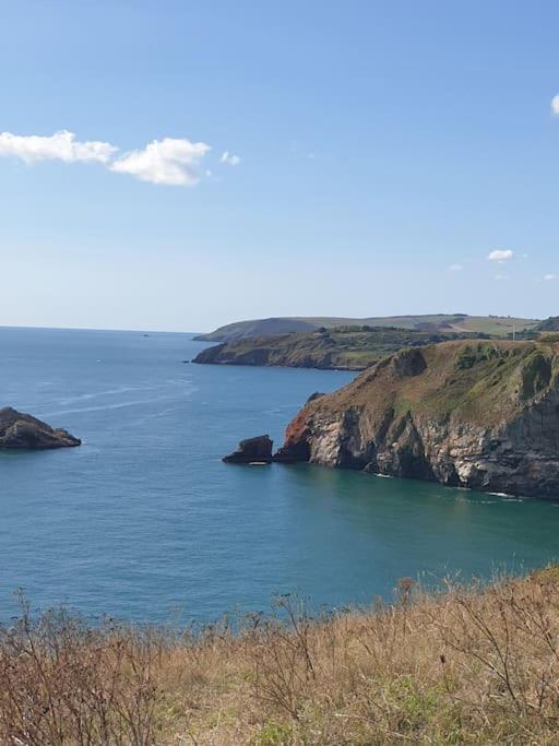 Rosedale A Charming Detached 4 Bedroom Cottage. Brixham Exterior photo